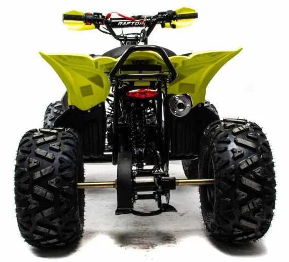 Квадроцикл MOTOLAND 125 Raptor