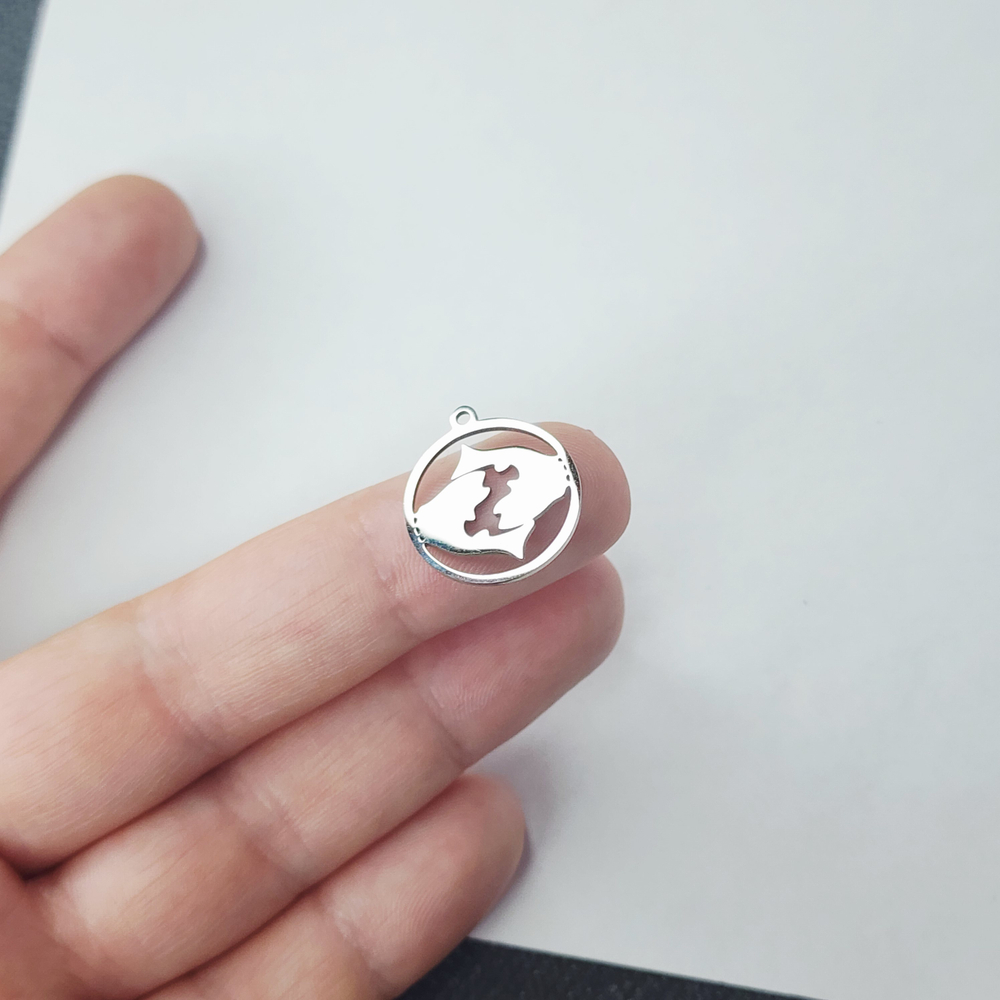 Знаки зодиаков, подвески сталь, р-р 20×17.5мм, штучно