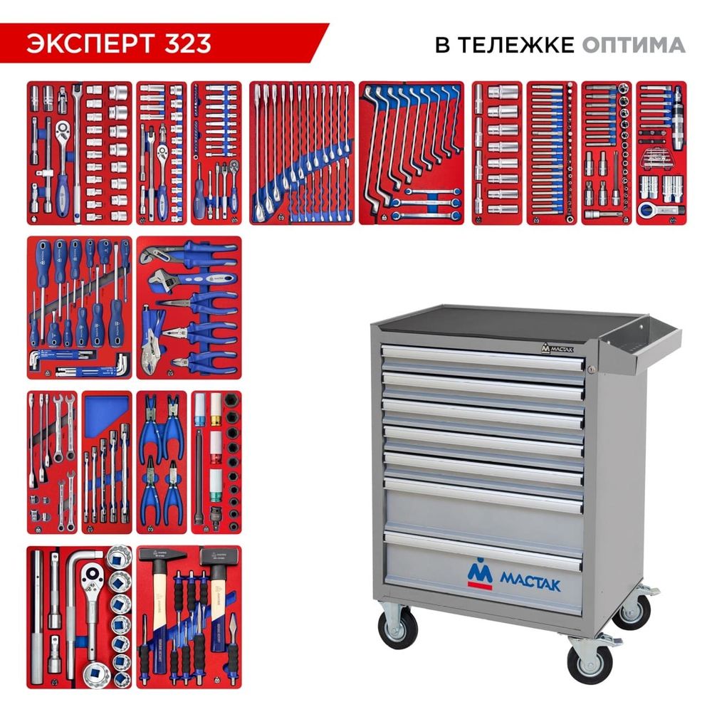 МАСТАК (52-07323G) Набор инструментов "ЭКСПЕРТ" в серой тележке, 323 предмета