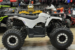 КВАДРОЦИКЛ PROMAX WILD 2.0 190
