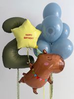Воздушные шары Капибара для мальчика №9042