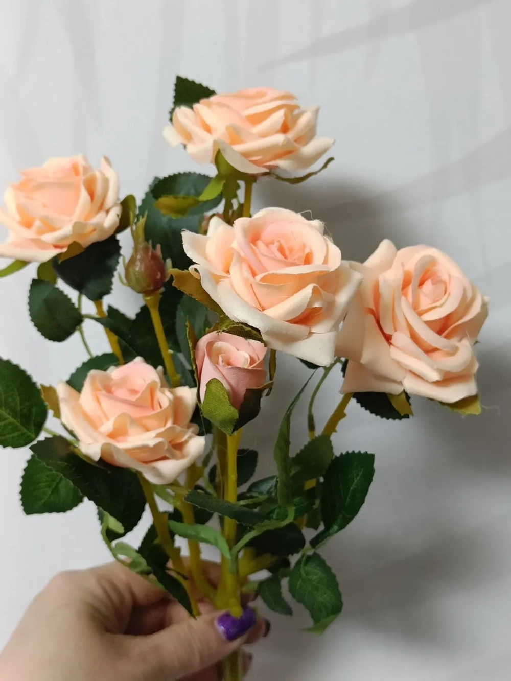 Роза кустовая бархатная, без кашпо.