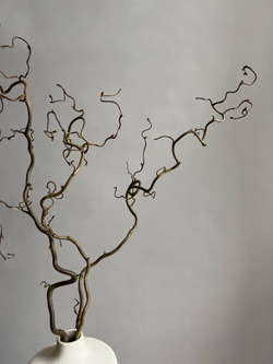 Корилус 100 см