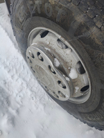 Shacman (Shaanxi) SX* 8x4 Самосвал SX331863366 (Дизельный, 12,5 л, 551 л.с., МТ)