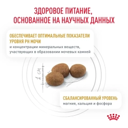 Royal canin urinary s/o сухой диетический корм для взрослых кошек, способствующий растворению струвитных мочевых камней и снижению риска их повторного образования - 350 г