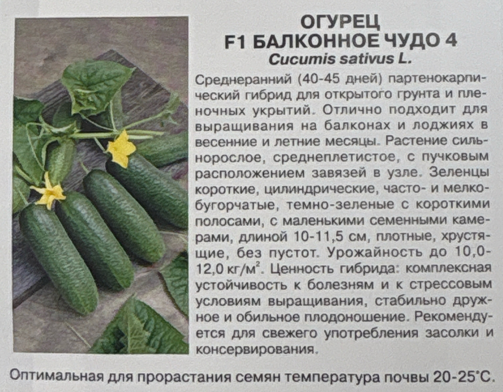 Огурец Балконное Чудо 4 F1 0,2 г СМО-84