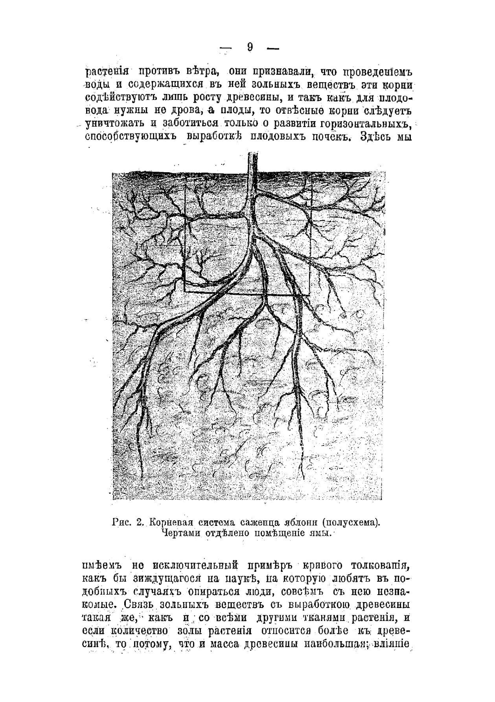 Как правильно посадить плодовое дерево: Руководство к подготовке почвы и норм. посадке плодовых деревьев | Рытов Михаил Васильевич