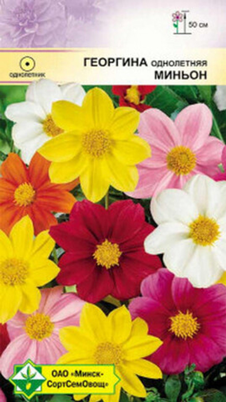 Георгина "Миньон" 0.3г., Германия.