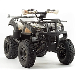 Квадроцикл PROMAX ATV 250 (2025)