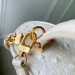 Louis Vuitton Vanity Chain Pouch