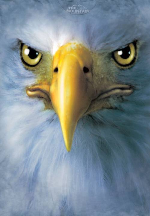 Футболка Mountain с изображением орла - Eagle Face