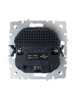BRITE Розетка 1-местная с заземлением с защитными шторками 16А с USB A+C 18Вт РЮш11-1-БрГ графит IEK
