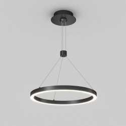 Светильник SP-CONGO-CAN-1-R400-24W Day4000 (BK, 120 deg, 230V) (Arlight, IP20 Металл, 5 лет) 046222