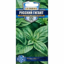 БАЗИЛИК ЗЕЛЕНЫЙ ^(1Г)