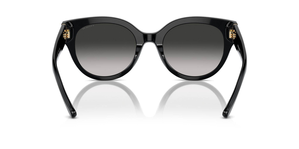 Солнцезащитные очки HC8393U Coach - черный(HC8393U)