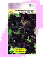 Петуния Черная вишня