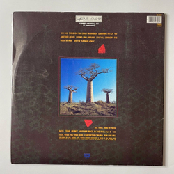 Винтажная виниловая пластинка LP Pink Floyd Delicate Sound Of Thunder (СССР 1990) Апрелевский Завод