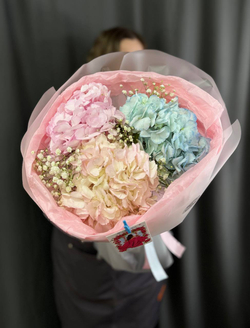 Букет из 3 гортензий с добавлением гипсофилы