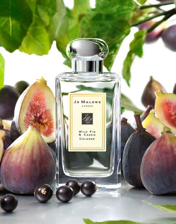 Jo Malone London Wild Fig and Cassis