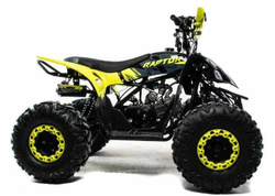 Квадроцикл MOTOLAND 125 RAPTOR