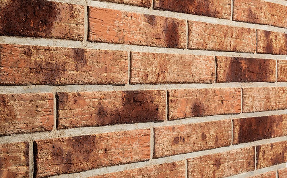 Кирпич облицовочный Plinfa Cassia 1311, 300x85x50