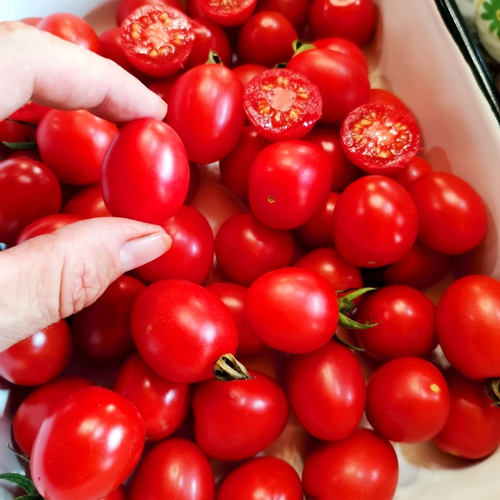 Помидоры Для Зимнего Хранения - Italia Grappoli D'Inverno Tomato