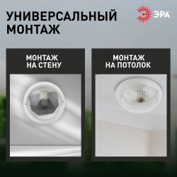 Светильник ЭРА «Сириус» НБП 06-60-101 с фото-шумовым датчиком IP54 E27 max 60Вт D220 круглый призма акустический | Светильники ЖКХ IP54