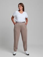 Брюки Авенсис-3 Виотекс БЕЖЕВЫЙ