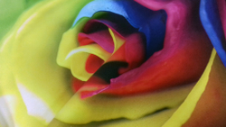 Микровелюр Xpoint (Икспоинт) 0049.01 Роза цветная купон