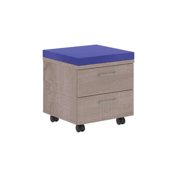 Тумба с подушкой XMC-2D.1A  C-06 465х465х520 XTEN