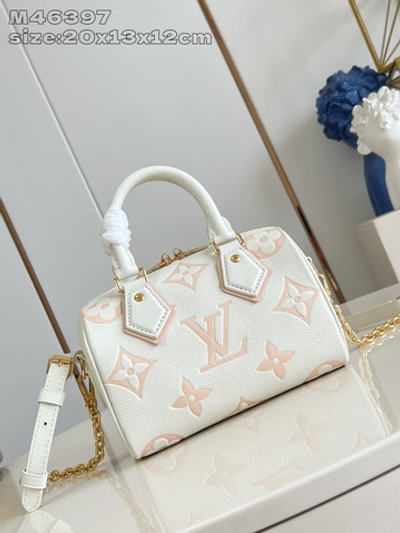 Louis Vuitton Speedy 20