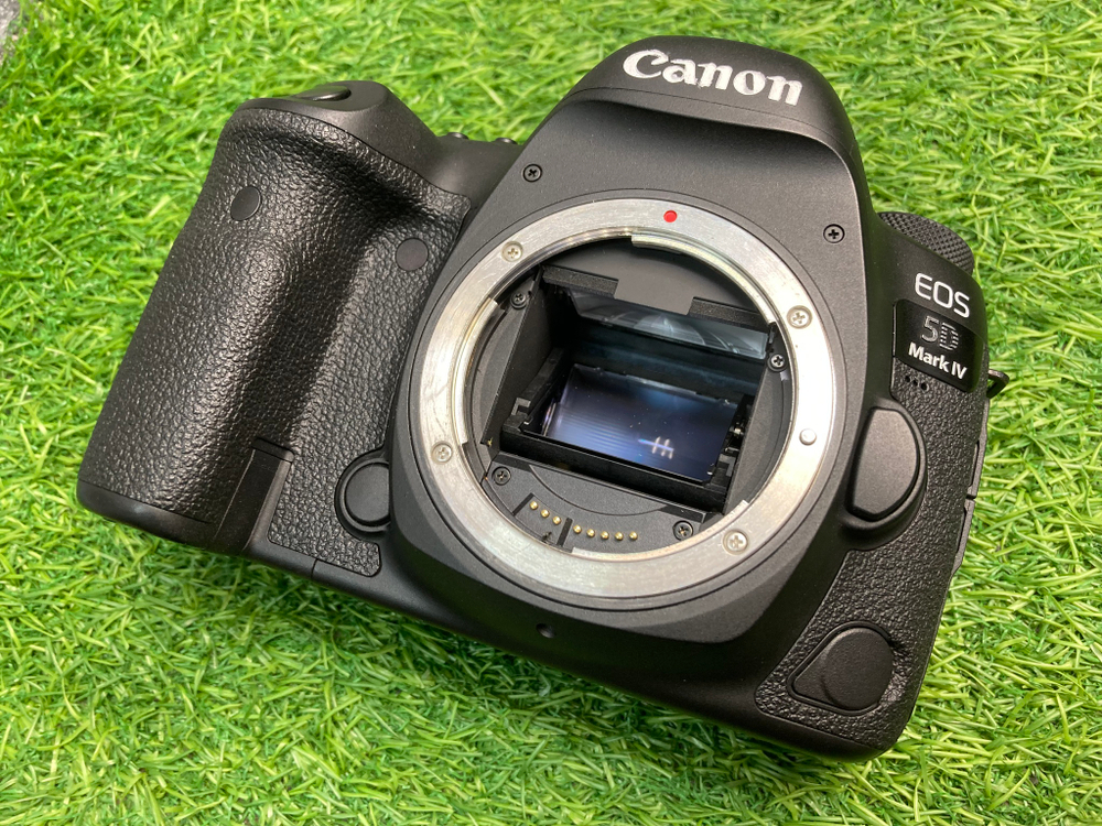 Canon EOS 5D Mark IV 500 кадров