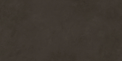 Evolution marron Плитка настенная 48036R 40x80 матовый обрезной