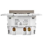 SKANDY Розетка с заземлением с защитными шторками 16А с USB C 18Вт SK-R17Sh шампань IEK