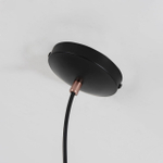 Подвесной светильник Favourite Ampolla 2007-1P