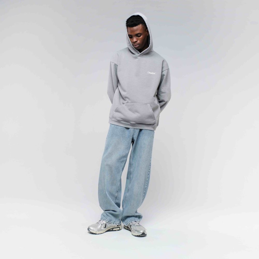 Худи Dissident DD24 серый