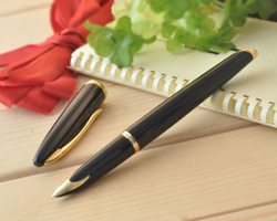 Перьевая ручка Waterman Carene, цвет: Black GT, перо: F
