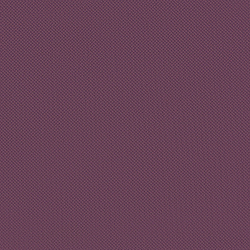 Велюр Blitz / Блитц