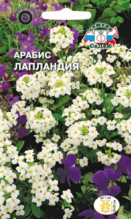 Арабис Лапландия альпийский