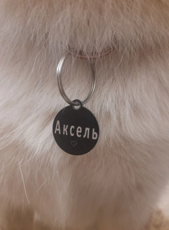 Адресник для кошек и собак, с гравировкой, большая малиновая "Косточка" 38*25мм (металл), медальон для животных.