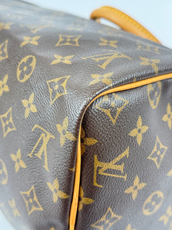 Сумка Louis Vuitton Speedy 30