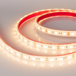 Светодиодная лента герметичная RTW-PFS-B60-13mm 12V Warm3000 (14.4 W/m, IP68, 5060, 5m) (Arlight, -) 034033