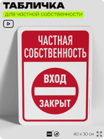 Табличка для частной территории "Частная собственность, вход закрыт", на дом, для участка, организаций, предупреждающая, 40х30 см, Silver Plane x Айдентика Технолоджи