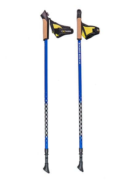 Карбоновые палки для скандинавской ходьбы Talberg Scout 21