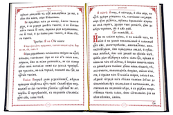 IMG_7484-PhotoRoom.png-PhotoRoom (1)