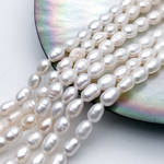 Жемчуг, размер около 5-5,5*4-4,5 мм, цена за отрезок 18 см (1/2 нити)