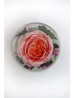 натуральный пион в стекле, вакуум*