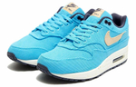 Кроссовки Nike Air Max 1 Prm "Baltic Blue"