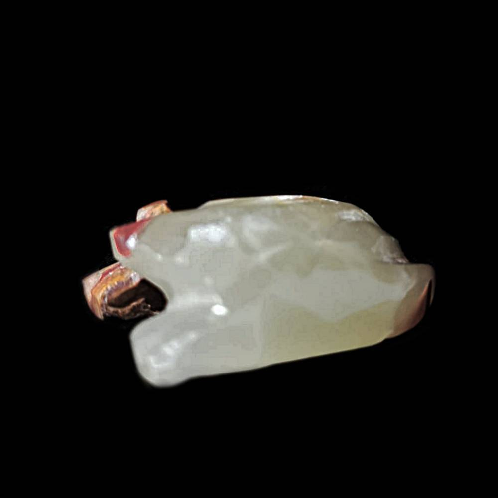 Лягушка оникс асс.