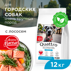 Корм сухой для взрослых собак очень крупных пород, премиум полнорационный комплекс, для городских собак, с лососем, 12 кг, QUATTRO